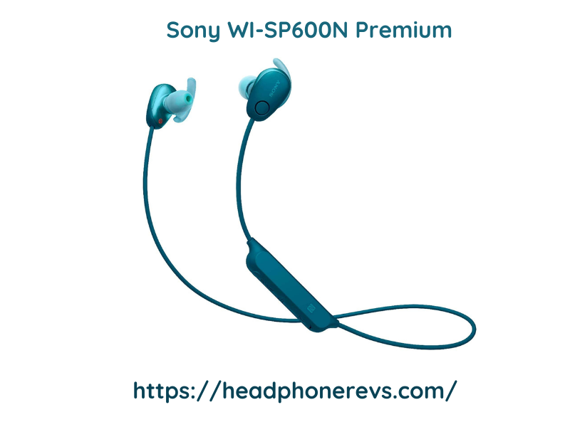 Sony Wi Sp600n Premium Headphone